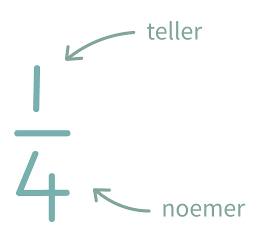 rekenen groep 8 | breuken | optellen | breuken gelijknamig maken